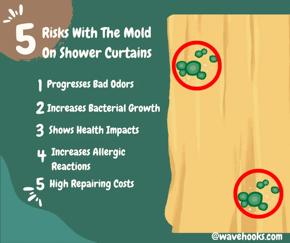 Risks with shower curtain mold