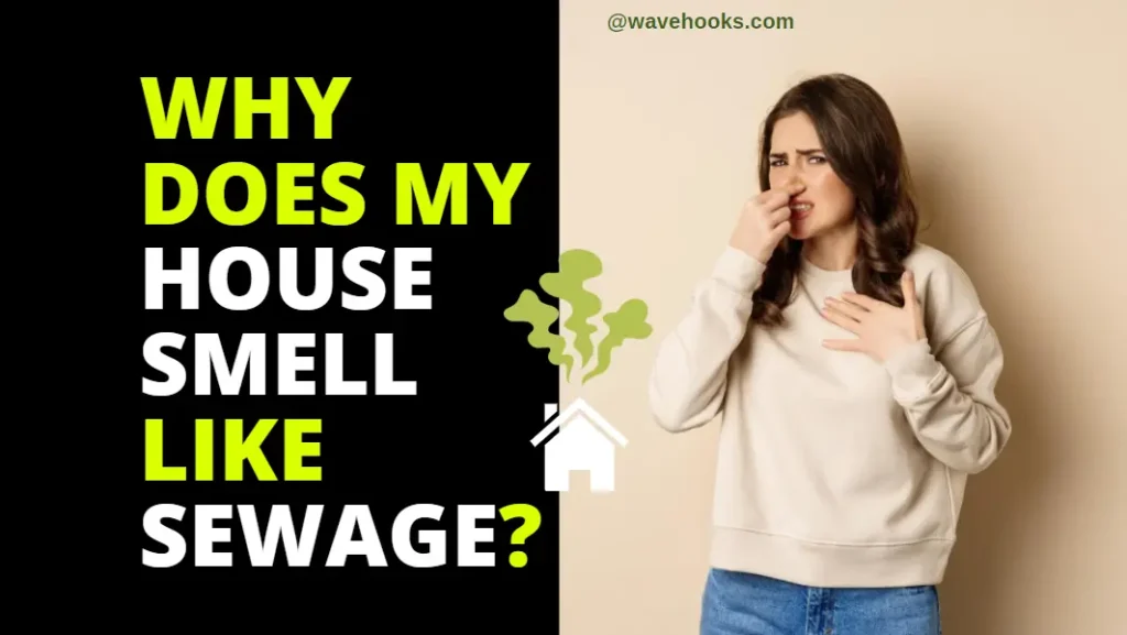 Why does my house smell like a sewage?