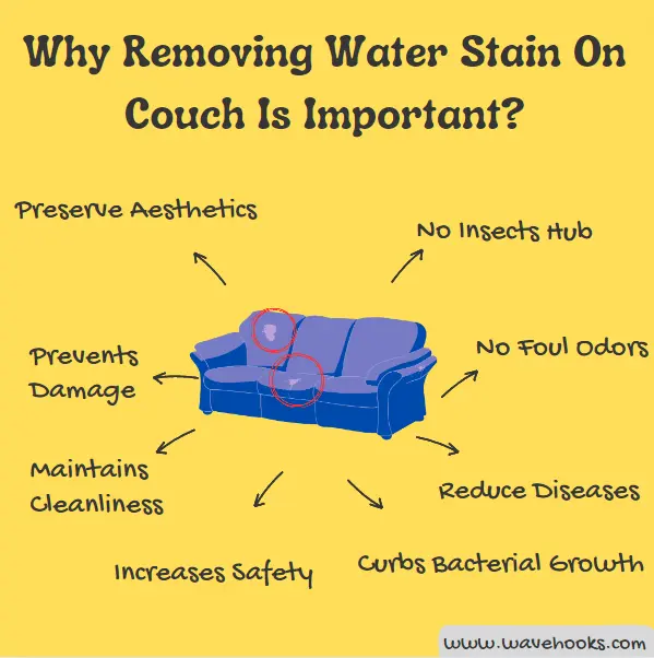 why removing water stain on fabric couch is important?