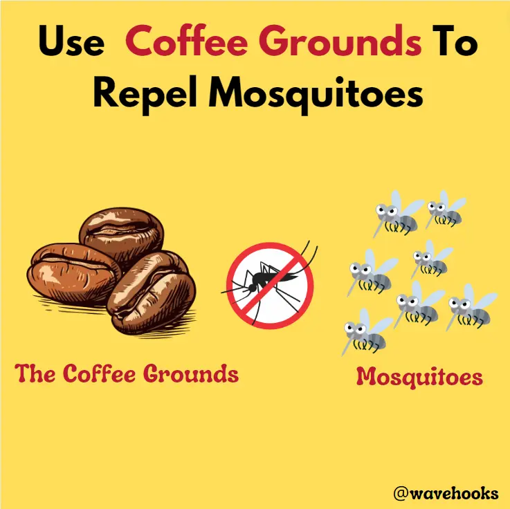 Use Coffee Grounds To Repel Mosquitoes