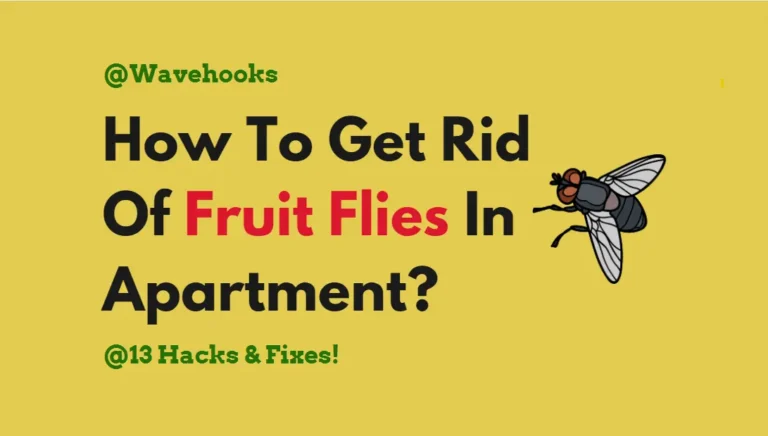 How To Get Rid Of Fruit Flies In Apartment: 13 Simple Tricks