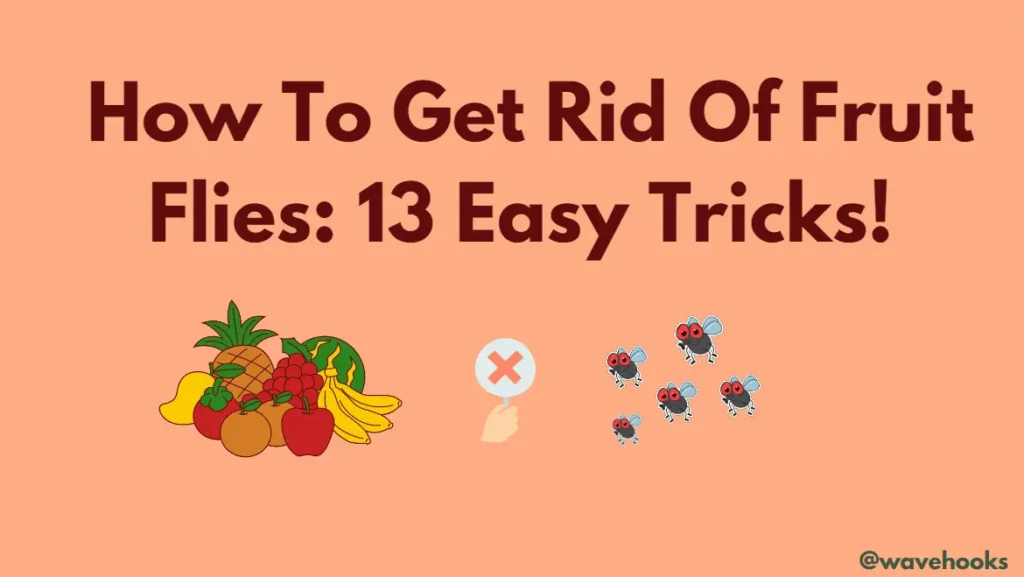 How To Get Rid Of Fruit Flies: 13 Ways!