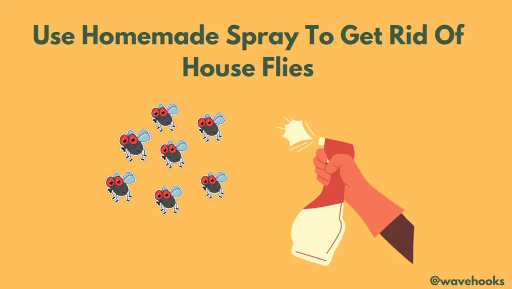 Homespray to get rid of house flies from apartment