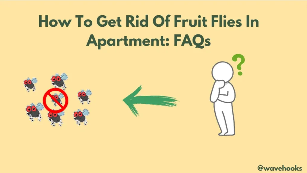 Frequently Asked Questions On Fruit Flies