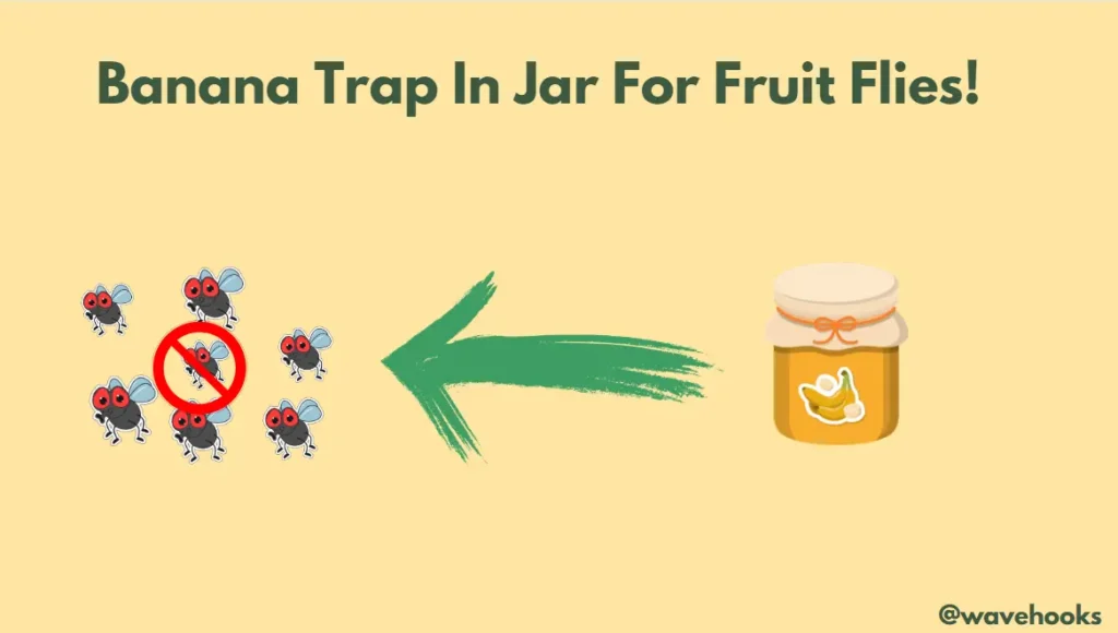 Banana Trap For Fruit Flies