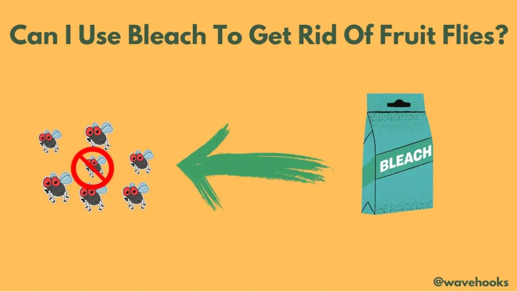 Is Bleach Safe?