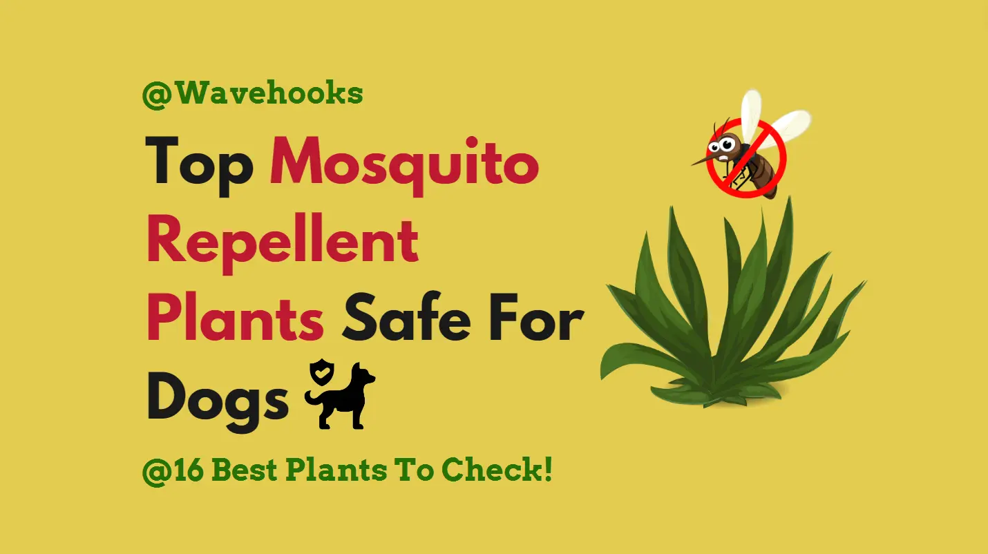 Mosquito Repellent Plants Safe For Dogs