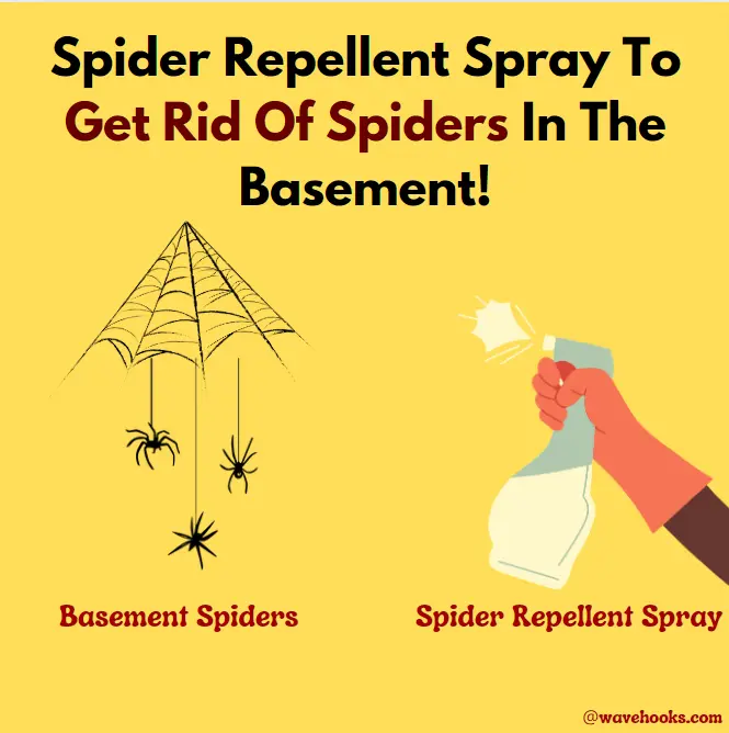 Spider Repellent Spray