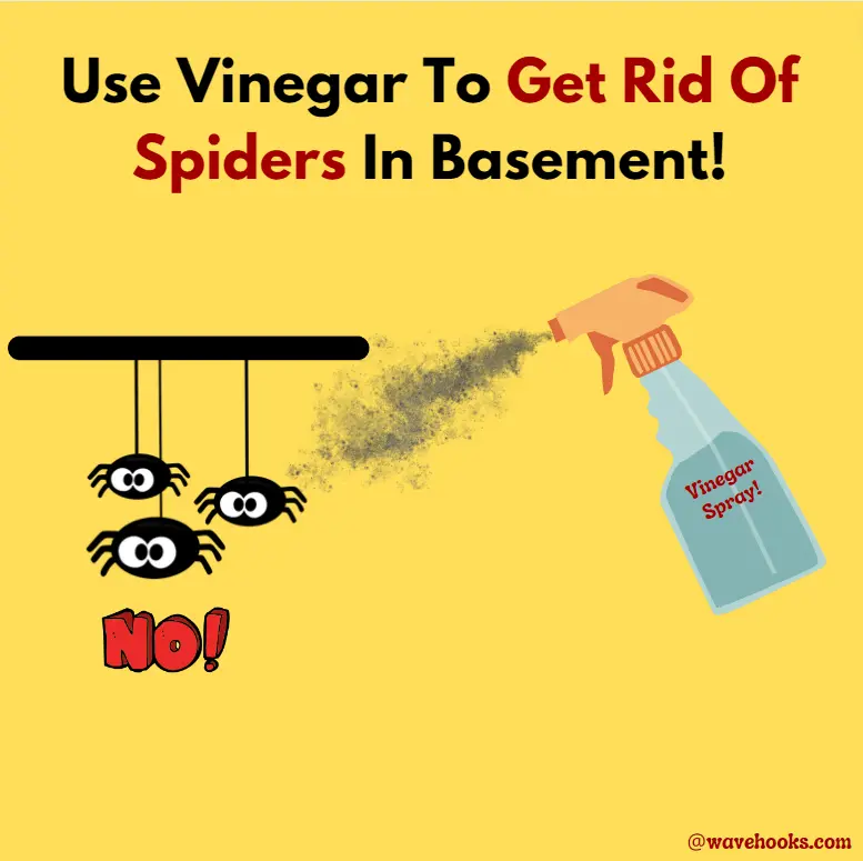 Use Vinegar Spray