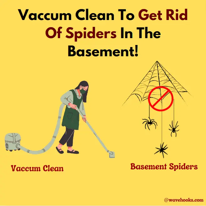 Vaccum Clean To Get Rid Of Spiders