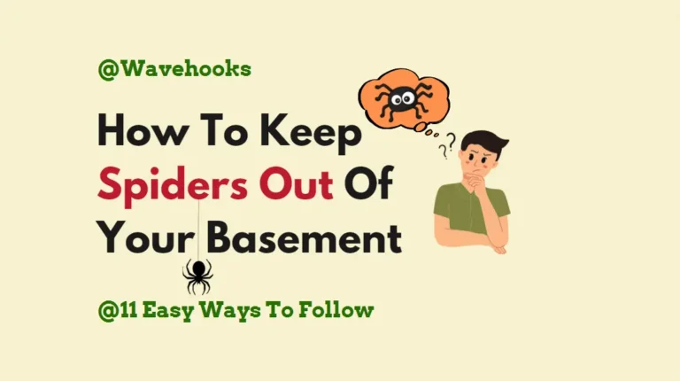 How To Keep Spiders Out Of Your Basement: 17 Proven Tactics!