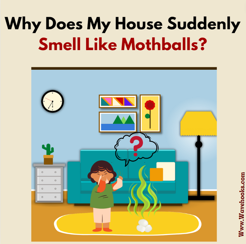 Why does my house suddenly smell like mothballs?