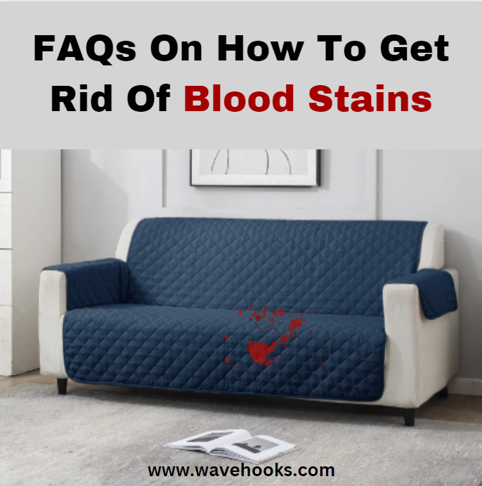 Frequently Asked Questions On Blood Stains