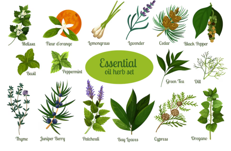 What Smell Keeps Bees Away? 12 Proven Scents That Work!