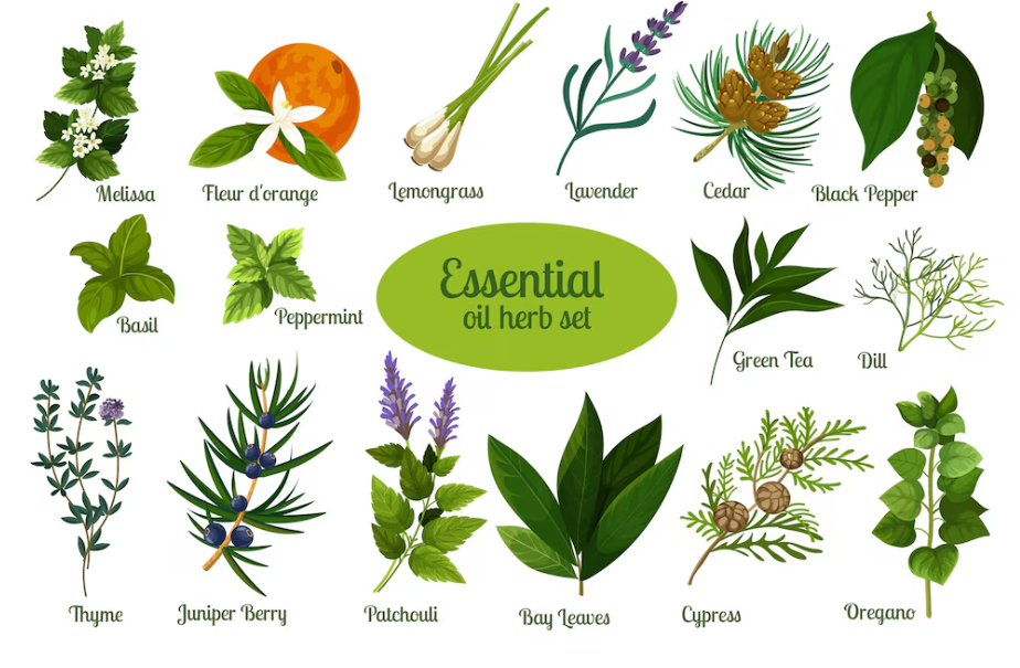 different herbs to get rid of moth ball smell from furniture