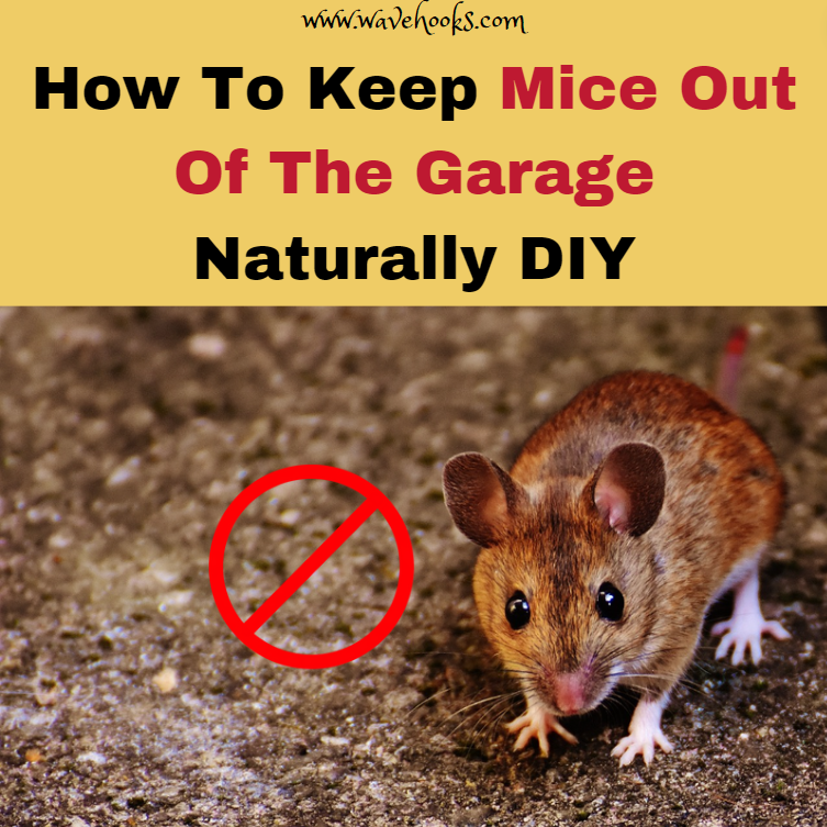 how to keep mice out of the garage naturally DIY