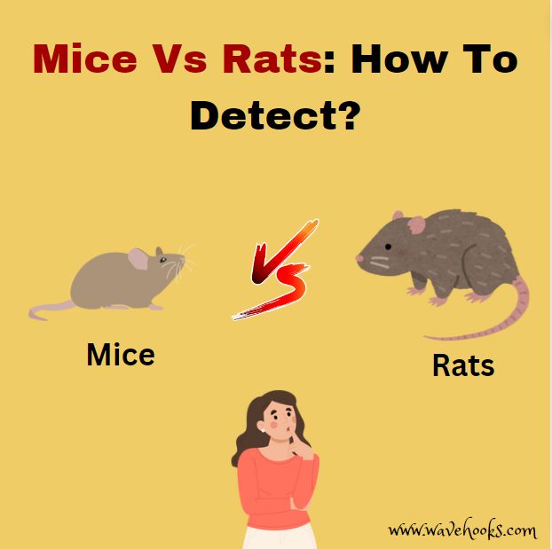 mice vs rats