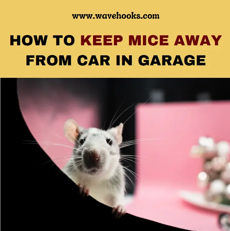 how to keep mice away from car in garage