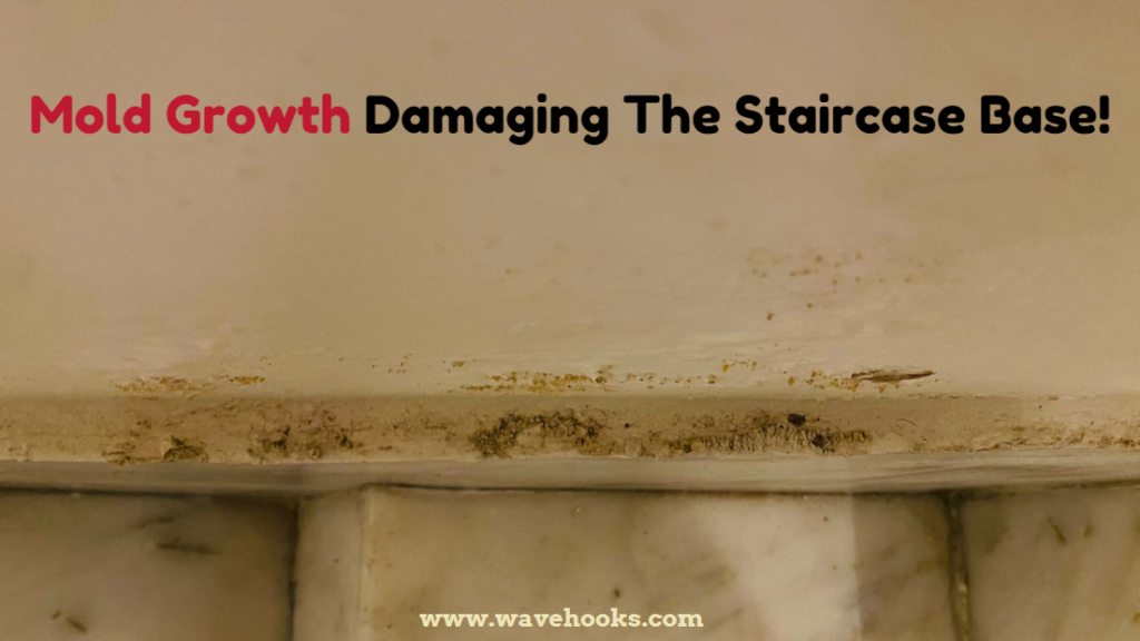 mold growth on staincase