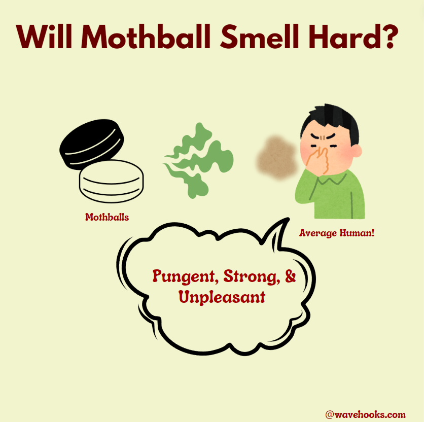 will mothball smell hard?