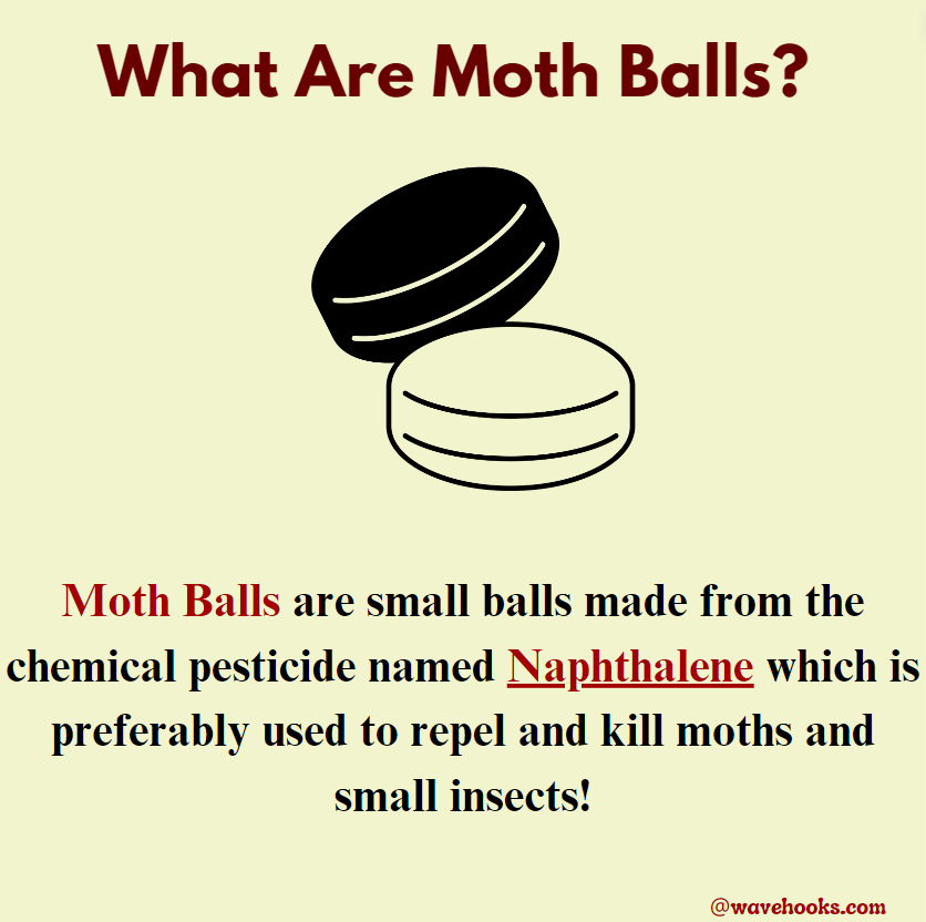 what are mothballs