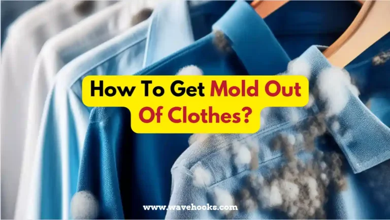 How To Get Mold Out Of Clothes