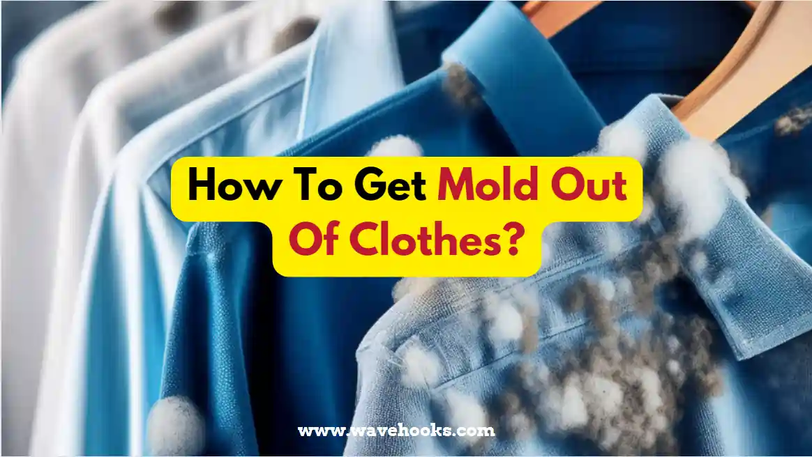 How To Get Mold Out Of Clothes