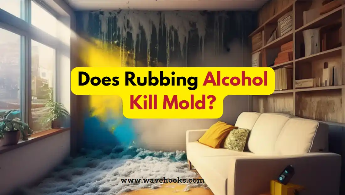 Does Rubbing Alcohol Kill Mold?