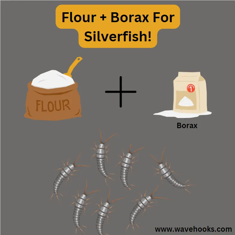 flour + borax