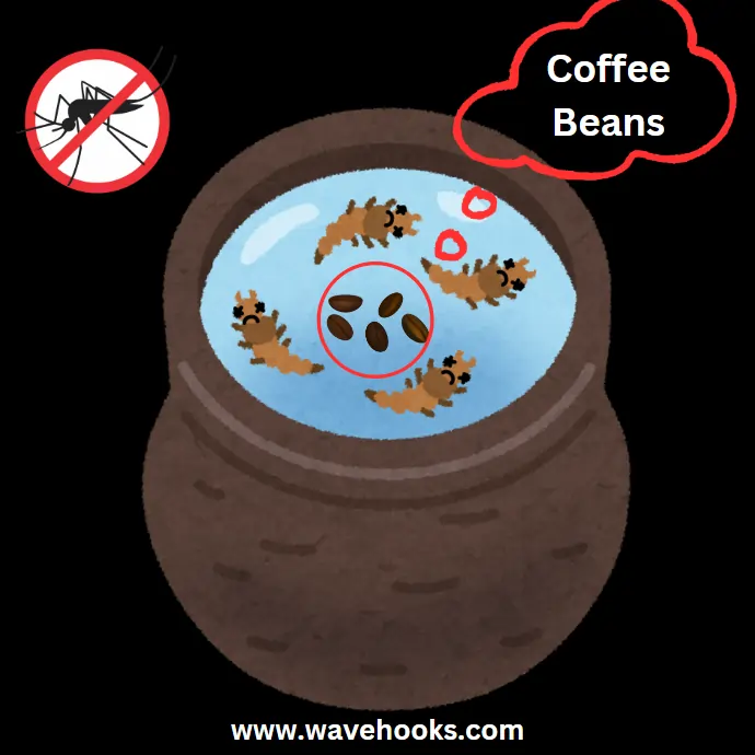 coffee beans in water