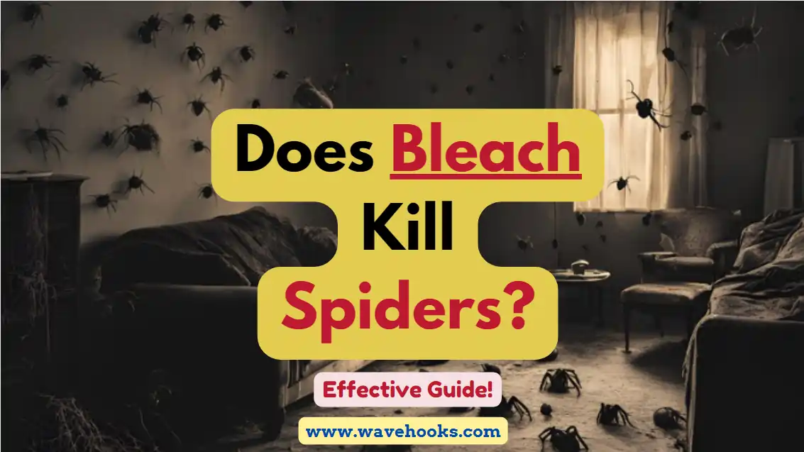 Does Bleach Kill Spiders?