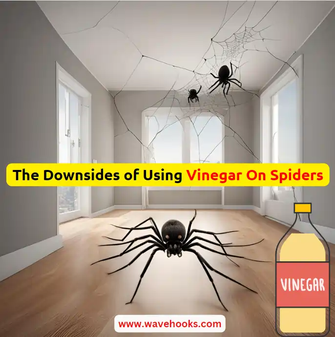 downsides of vinegar