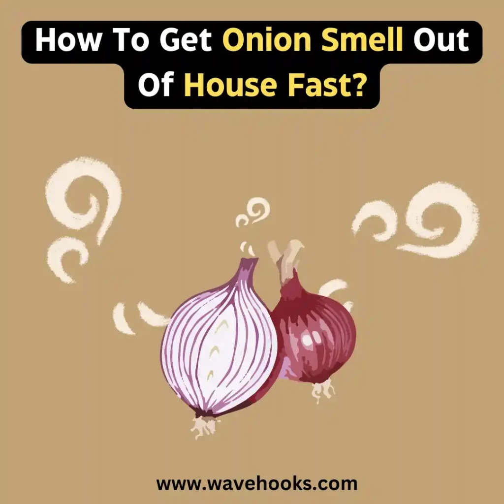 How to get onion smell out of house fast naturally