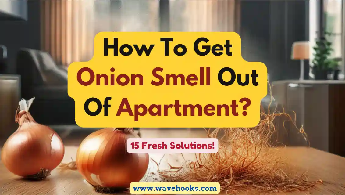 How To Get Onion Smell Out Of Apartment