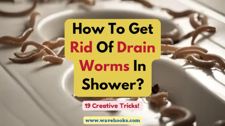 How To Get Rid Of Drain Worms In Shower