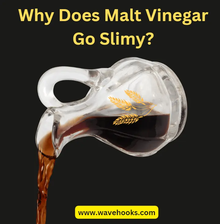 why does malt vinegar go slimy