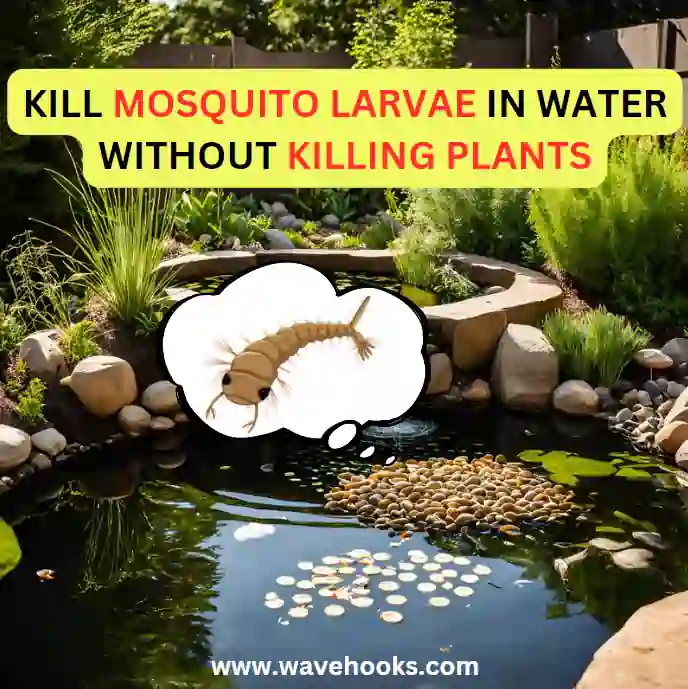 How do you kill mosquito larvae in water without killing plants