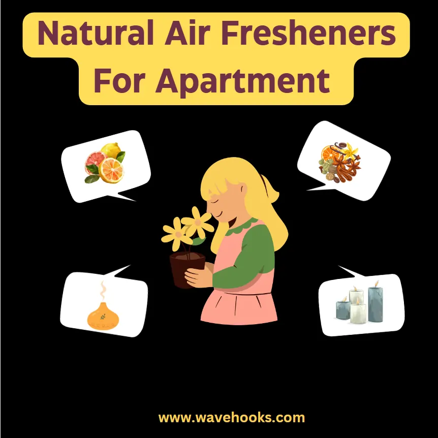 Natural Air Fresheners to Keep Your Apartment Smelling Fresh