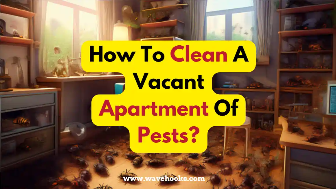 How To Clean A Vacant Apartment Of Pests