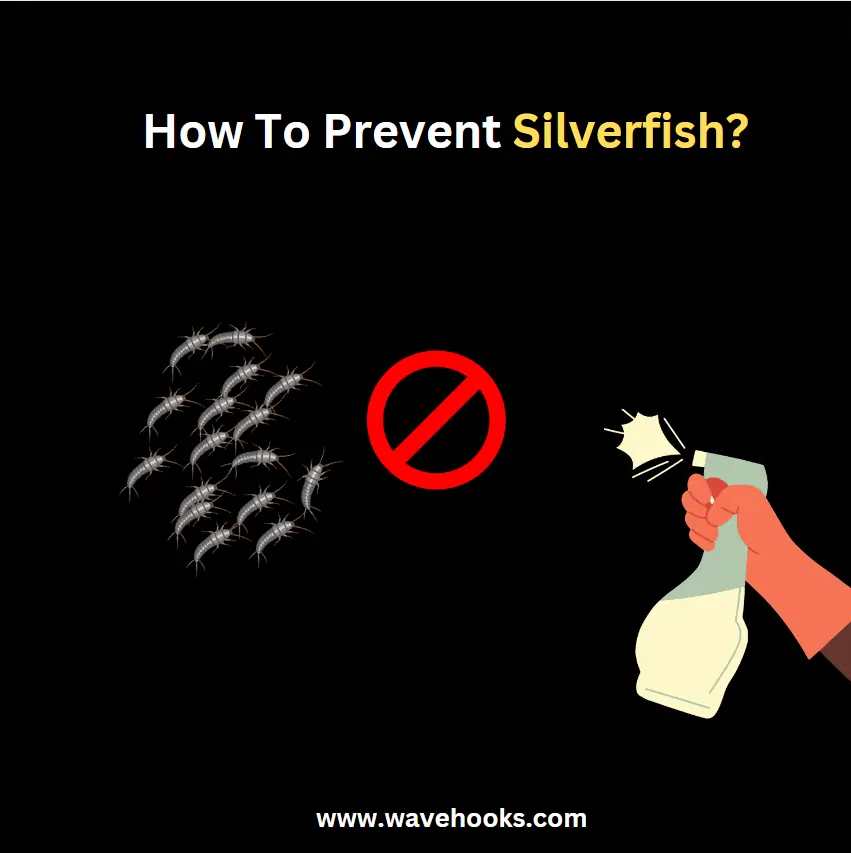 how to prevent silverfish