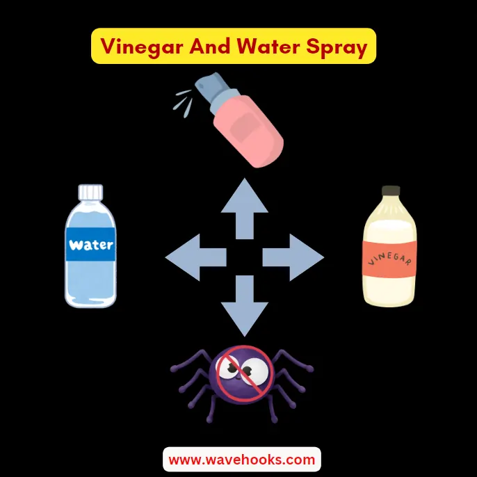 infographic showing water and vinegar mix