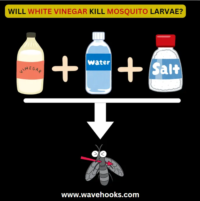 will white vinegar kill mosquito larvae?