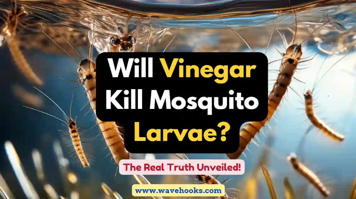 Will Vinegar Kill Mosquito Larvae