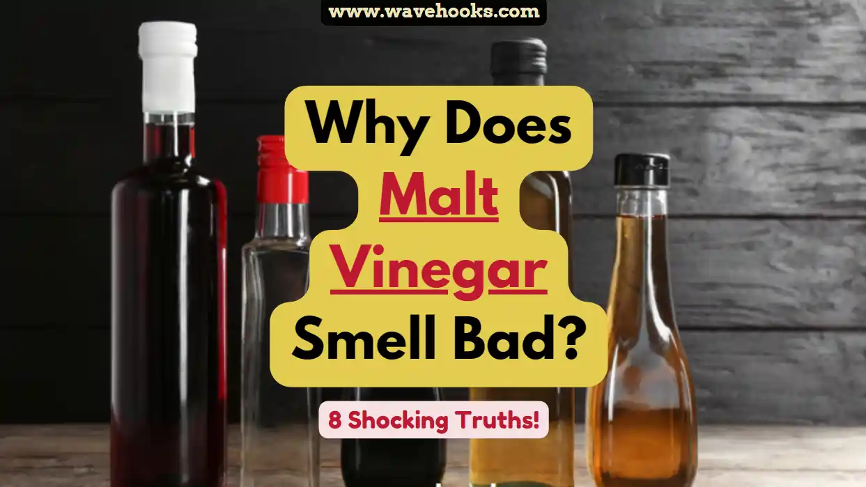 Why Does Malt Vinegar Smell Bad?