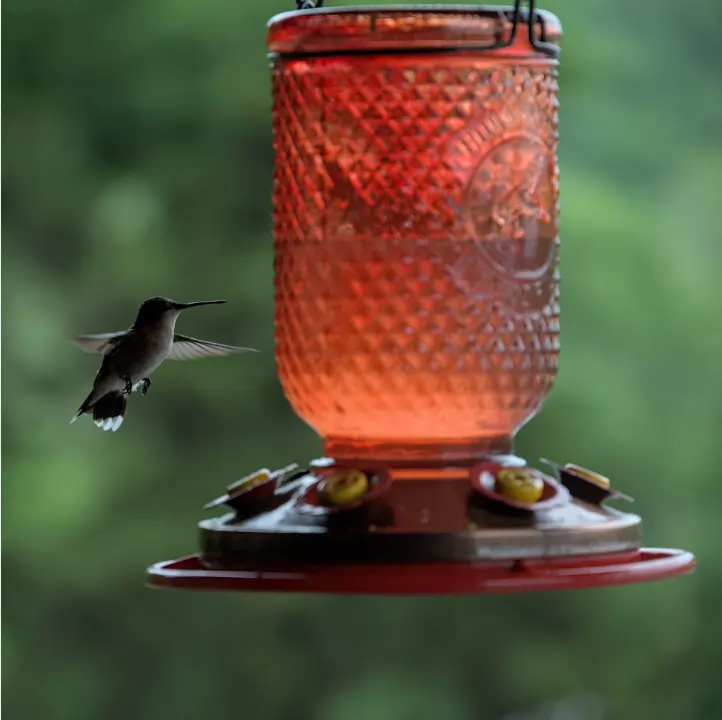 vintage glass bottle birdfeeder