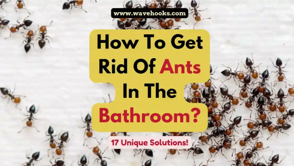 How To Get Rid Of Ants In The Bathroom?