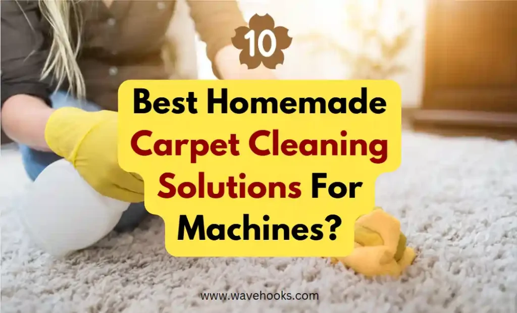 10 best homemade carpet cleaning solutions for machines?