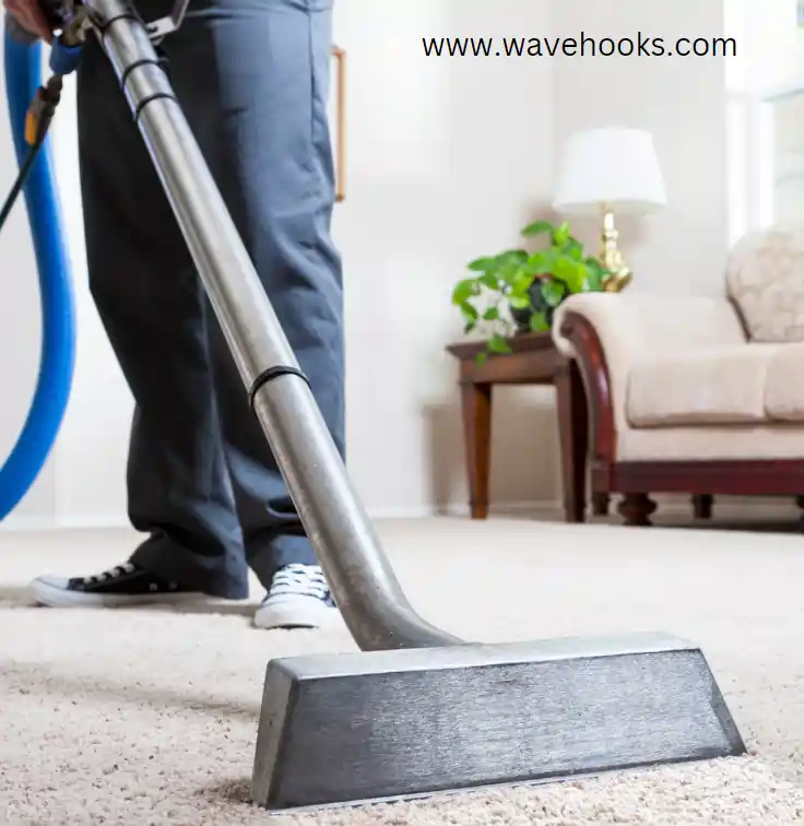 man cleaning the carpet using best carpet cleaning solution