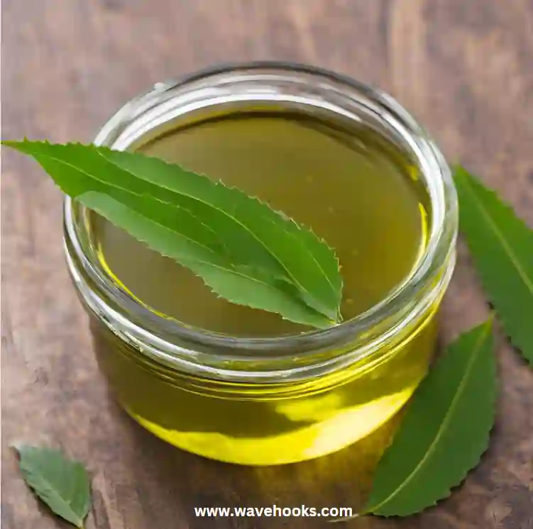 neem oil soak for gnats