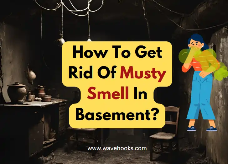 How To Get Rid Of Musty Smell In Basement?